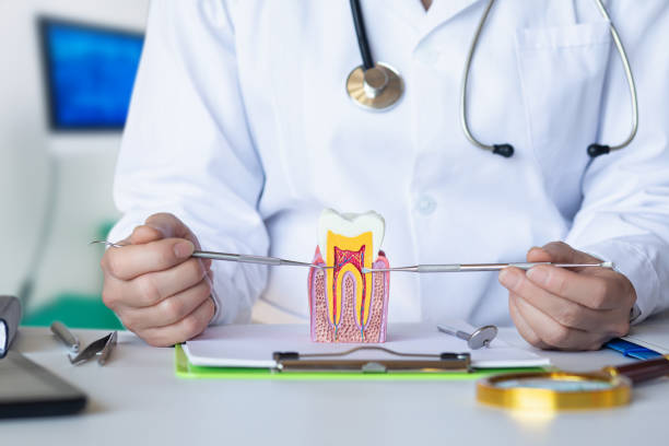 Best Emergency Root Canal Treatment in Dagsboro, DE